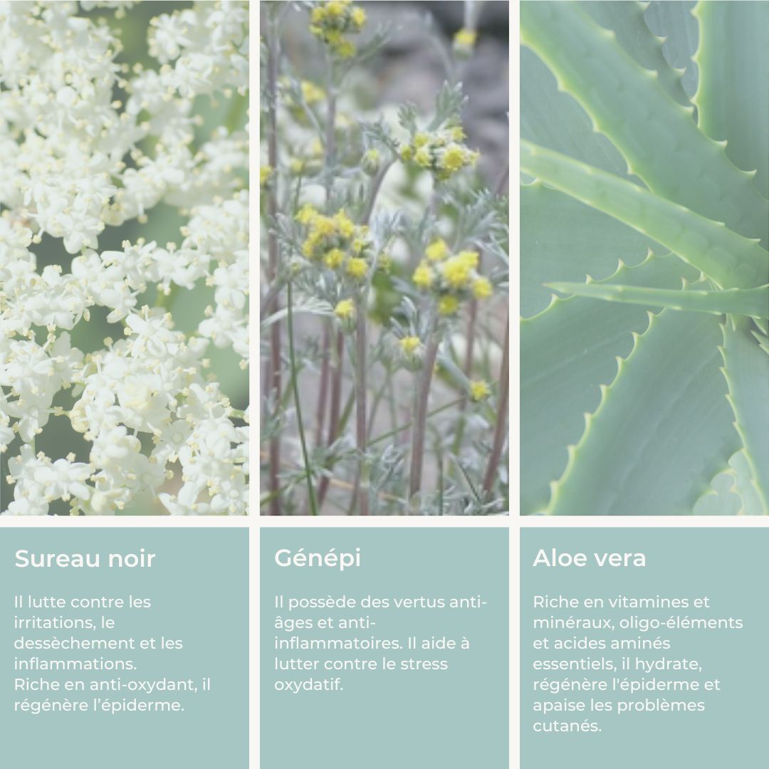 Duo Éclat Global – Visage & Corps | Sérum & Crème Corps Bio